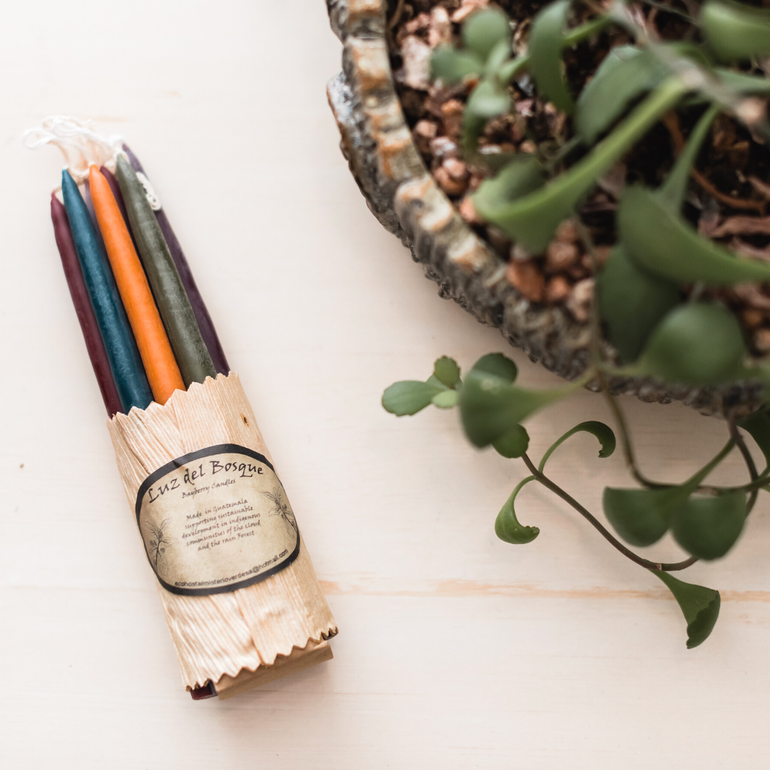 A Natural Alternative to Paraffin: The Story of Arrayán Wax Candle