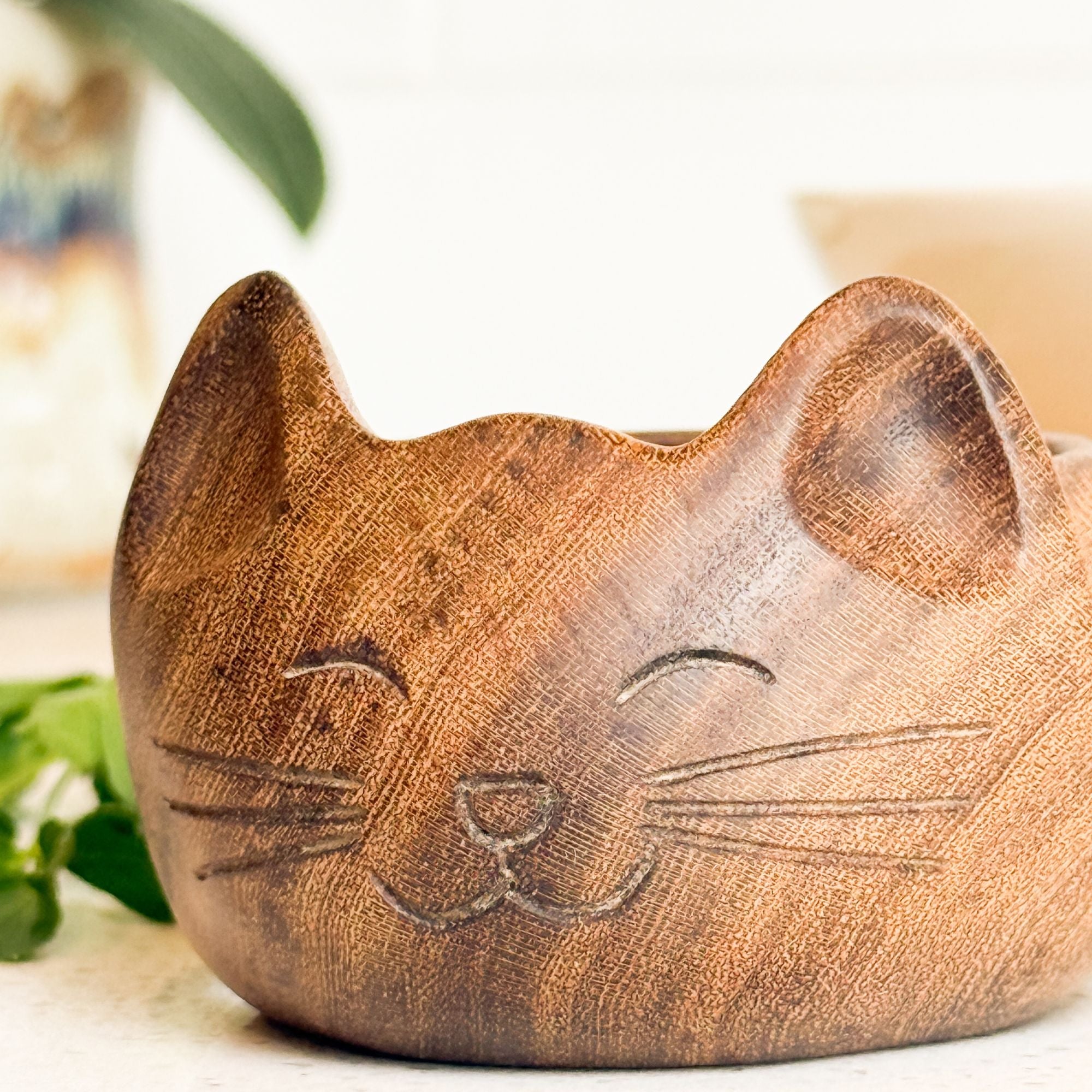 Cat Salt Bowl 2