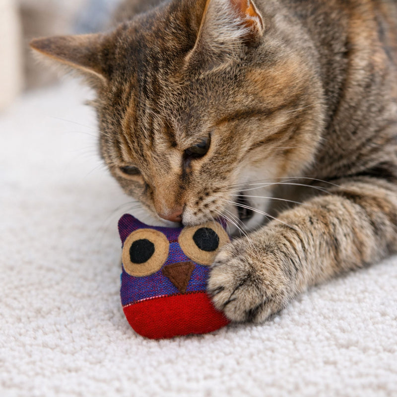 Organic Catnip Owl Cat Toy