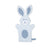 Bunny Puppet Washcloth